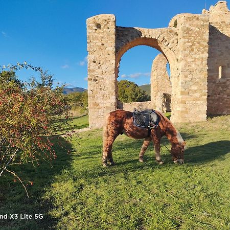 Gite A La Ferme Ongles Dış mekan fotoğraf