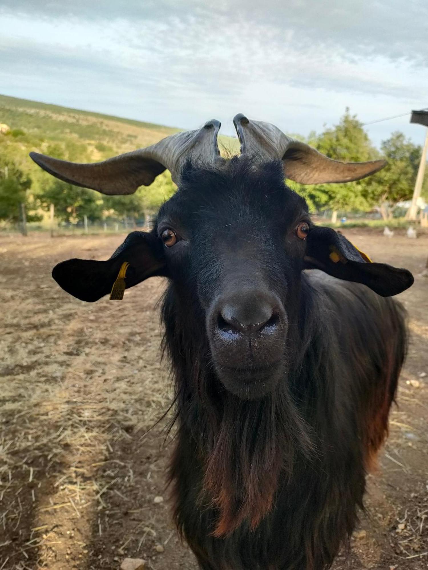 Gite A La Ferme Ongles Dış mekan fotoğraf
