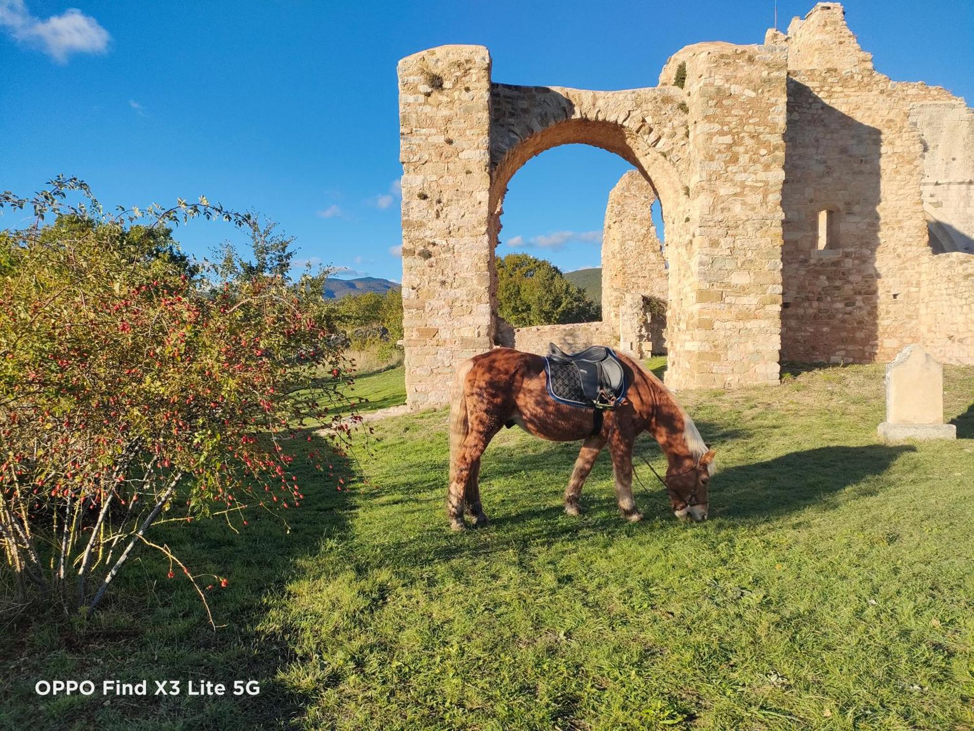 Gite A La Ferme Ongles Dış mekan fotoğraf