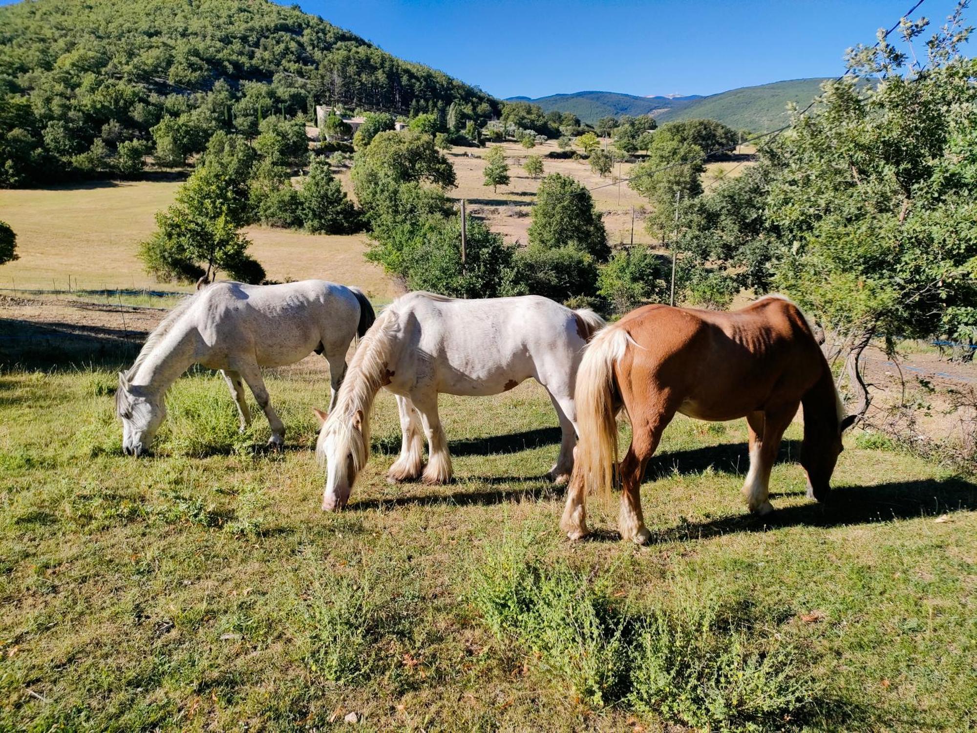 Gite A La Ferme Ongles Dış mekan fotoğraf