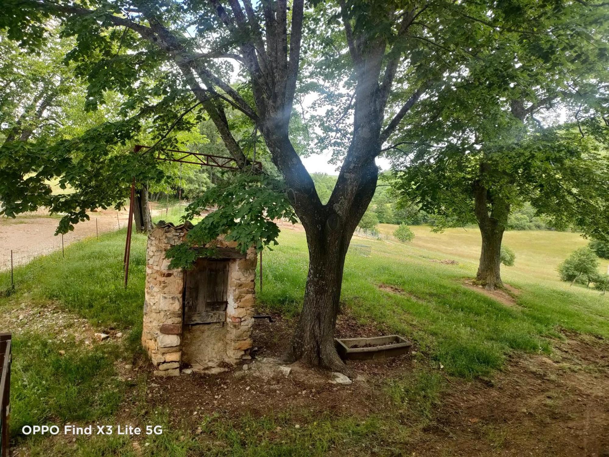 Gite A La Ferme Ongles Dış mekan fotoğraf