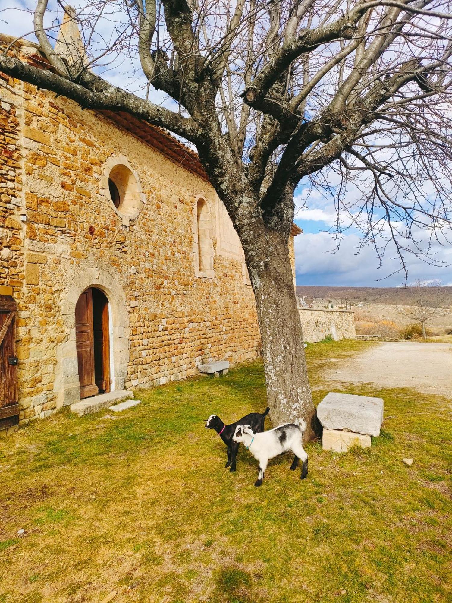 Gite A La Ferme Ongles Dış mekan fotoğraf