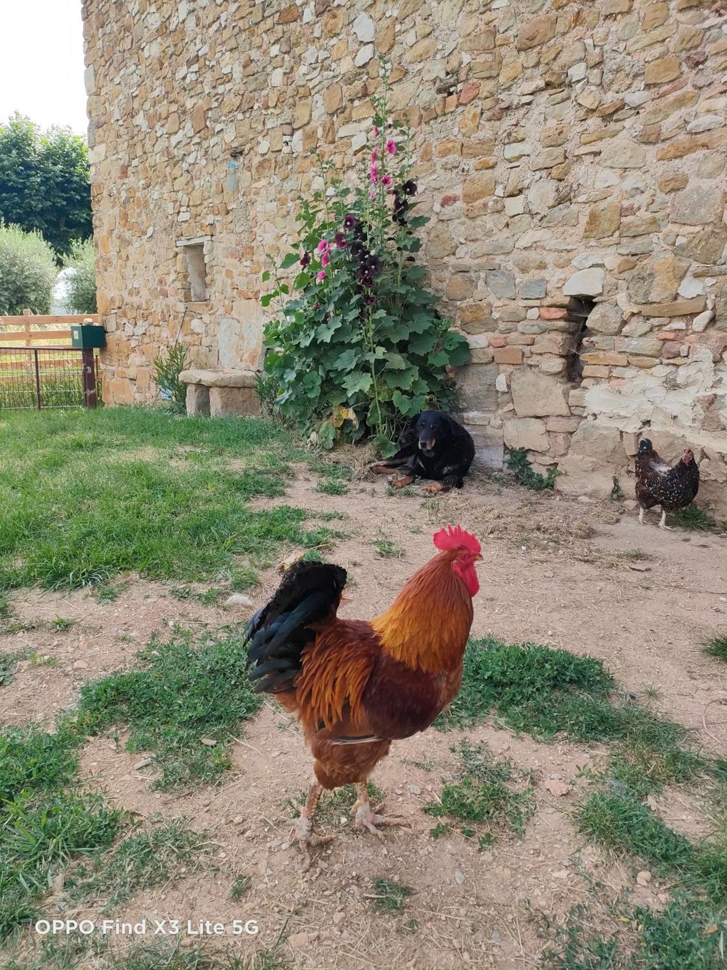 Gite A La Ferme Ongles Dış mekan fotoğraf